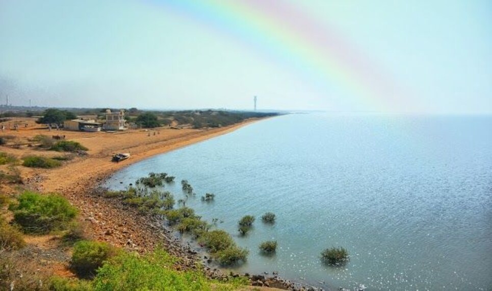 Narayan_Sarovar Wildlife Sanctuary-3